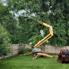 Best Tree Trimming and Pruning  in Mowbray Mountain, TN