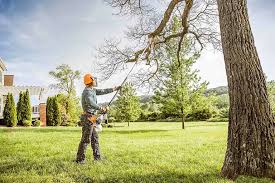 Best Lawn Grading and Leveling  in Mowbray Mountain, TN