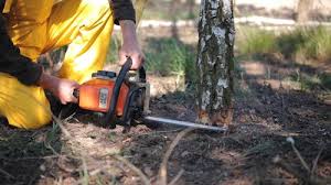 Best Lawn Maintenance Plans  in Mowbray Mountain, TN