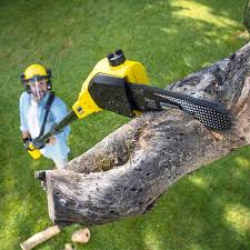 Best Lawn Pest Prevention  in Mowbray Mountain, TN